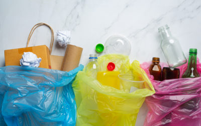 „Obst und Gemüse von der Zange. Verpackungsmüll vermeiden statt recyceln – auch in Zeiten von Corona“ PuR im Tagesspiegel, 29.11.2020