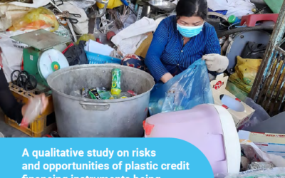 Plastic Credits – Effiziente Lösung für Verpackungsabfälle oder billiger Ausweg für Unternehmen? 