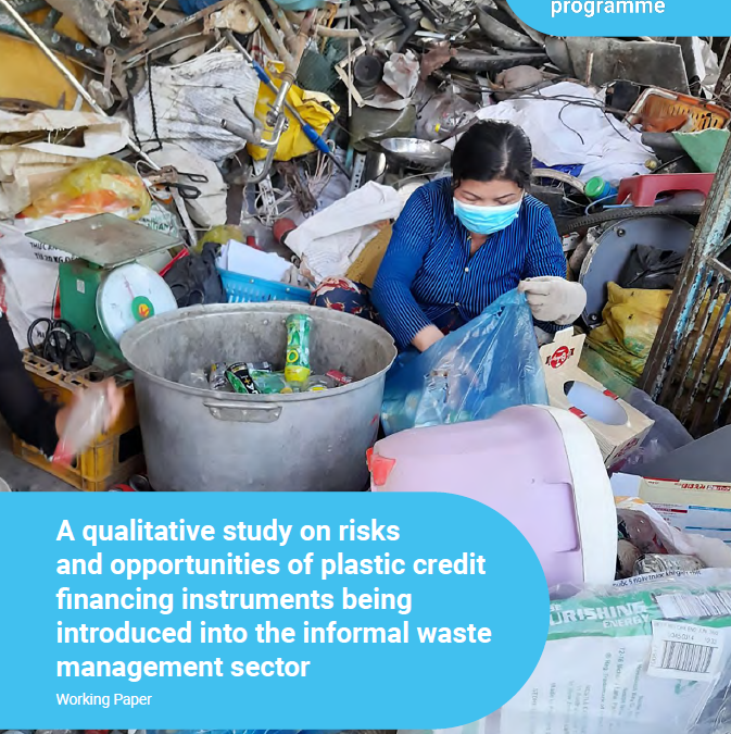 Plastic Credits – Effiziente Lösung für Verpackungsabfälle oder billiger Ausweg für Unternehmen? 